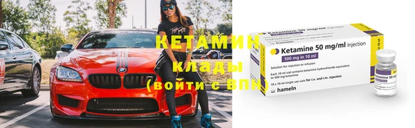 крисы Пересвет