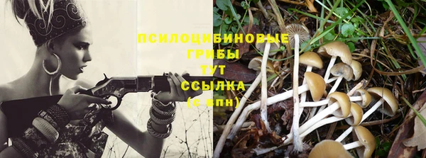 крисы Пересвет