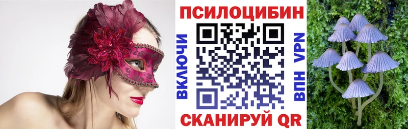 omg зеркало  цена   Сыктывкар  Псилоцибиновые грибы GOLDEN TEACHER 