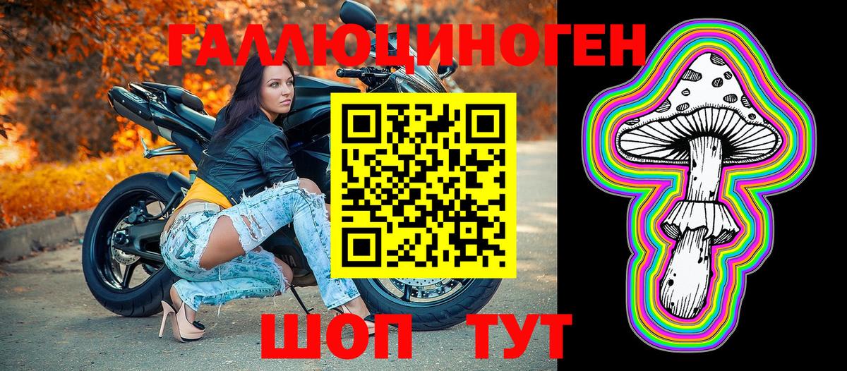 Галлюциногенные грибы Cubensis Сыктывкар